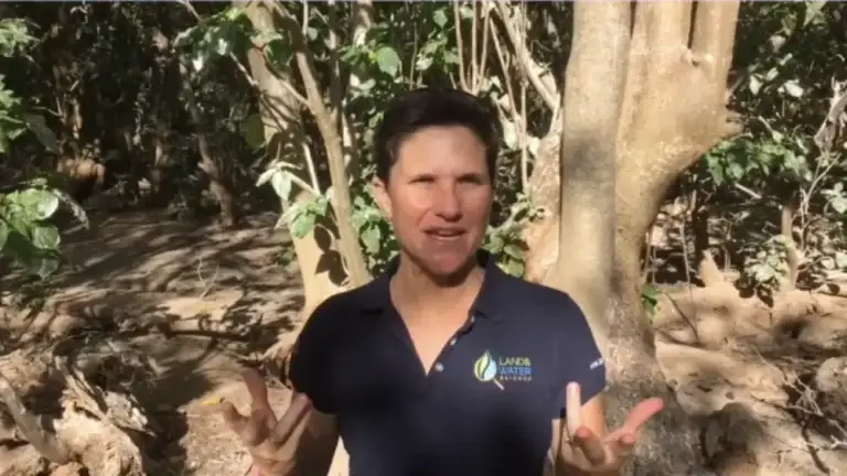 a screenshot of Dr Karen Joyce whilst doing her research on an island