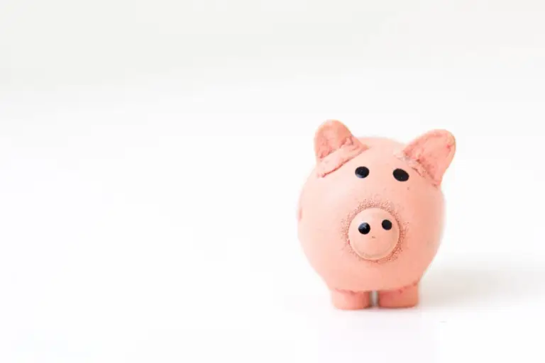 a flesh-coloured pig ceramic against a white background