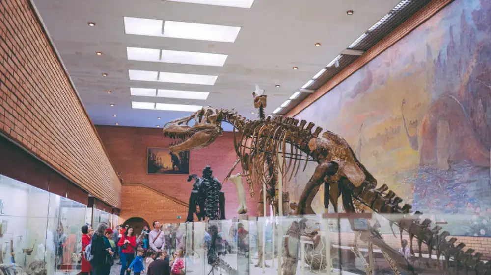 inside a dinosaur museum