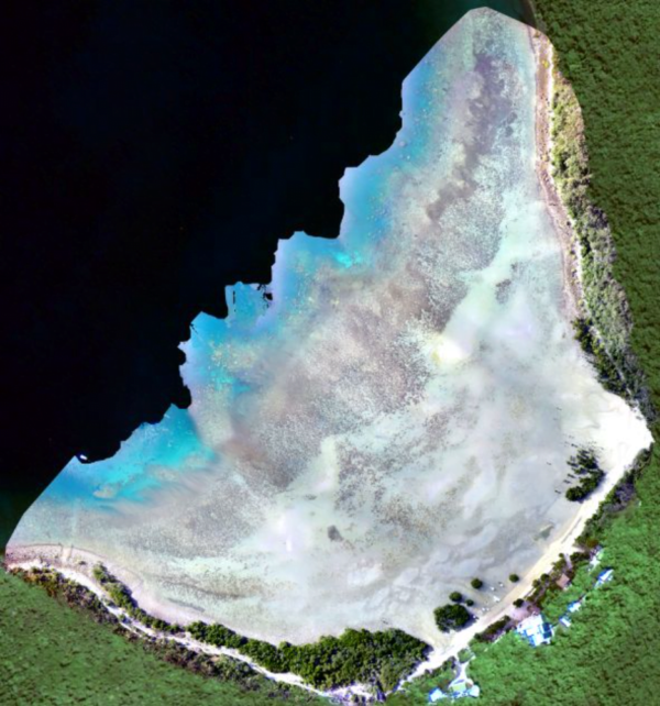 aerial view of Orpheus Island