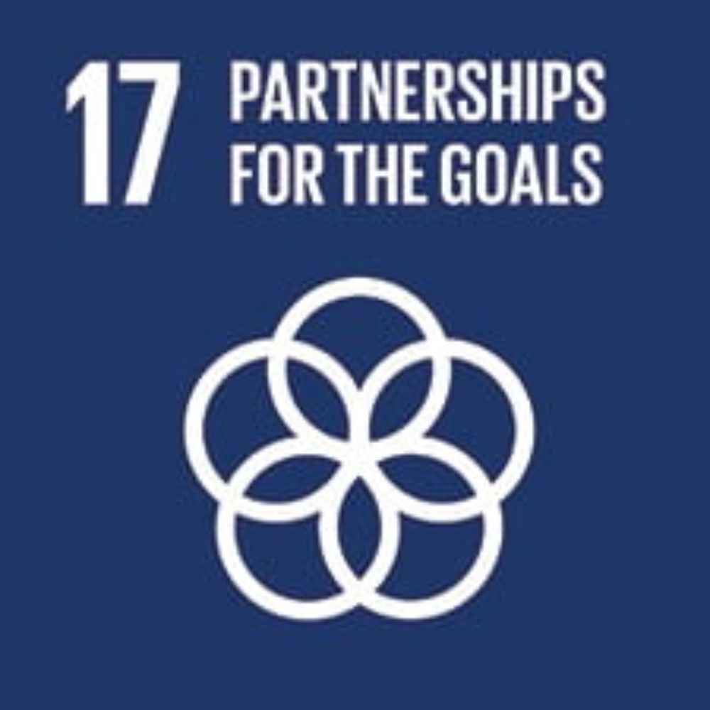 partnerships for the goals icon