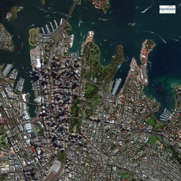 aerial photo of Sydney harbour during the day