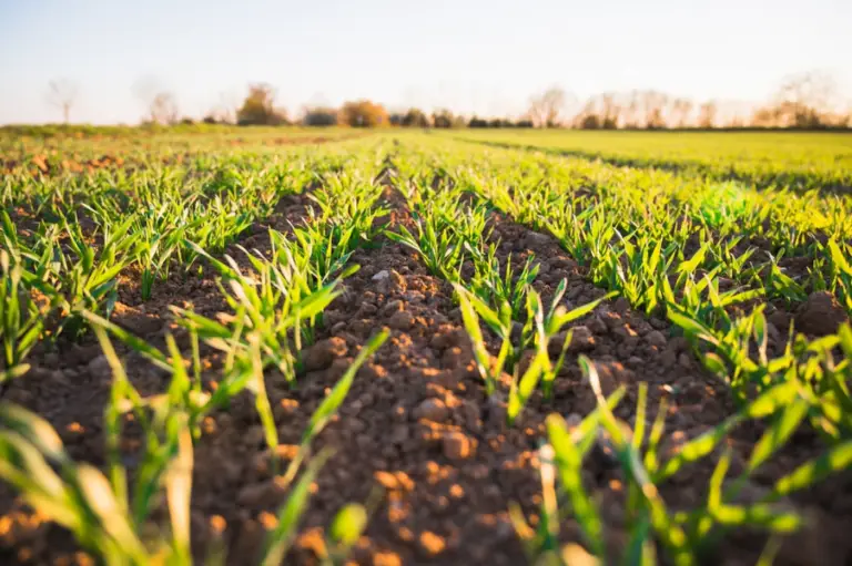Teaching Agriculture with drones farm