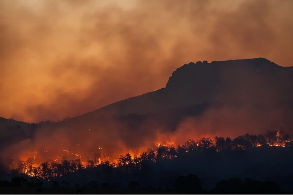 Bushfire burning in country
