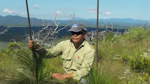 Gerry Turpin, Ethnobotanist