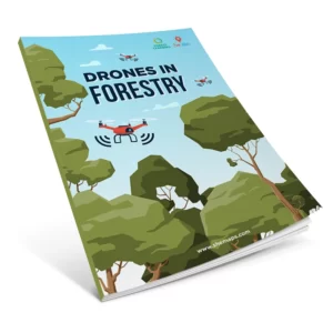 resources unit of work drones in forestry 900x900