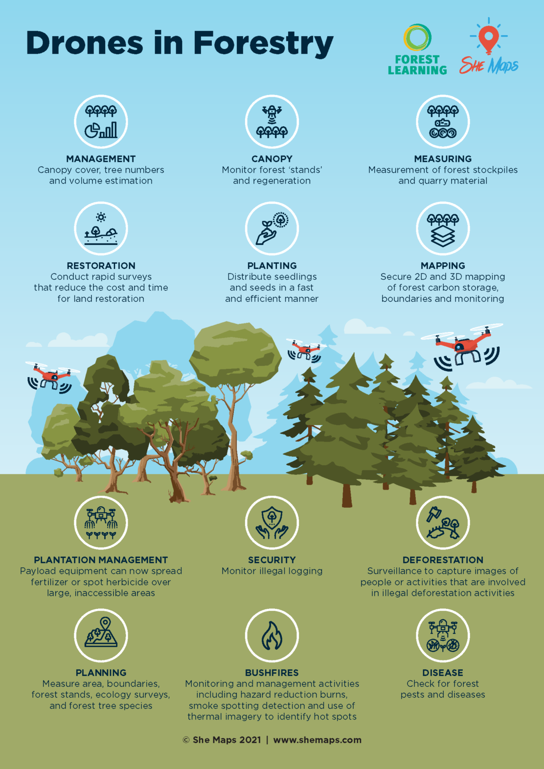 drones in forestry infographic web