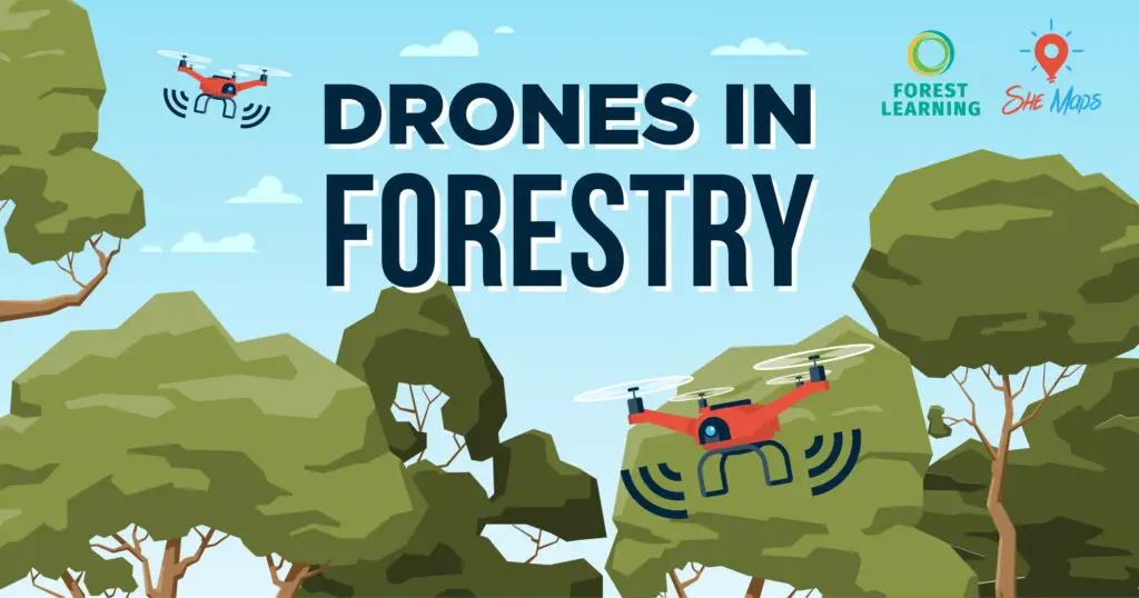 drones in forestry
