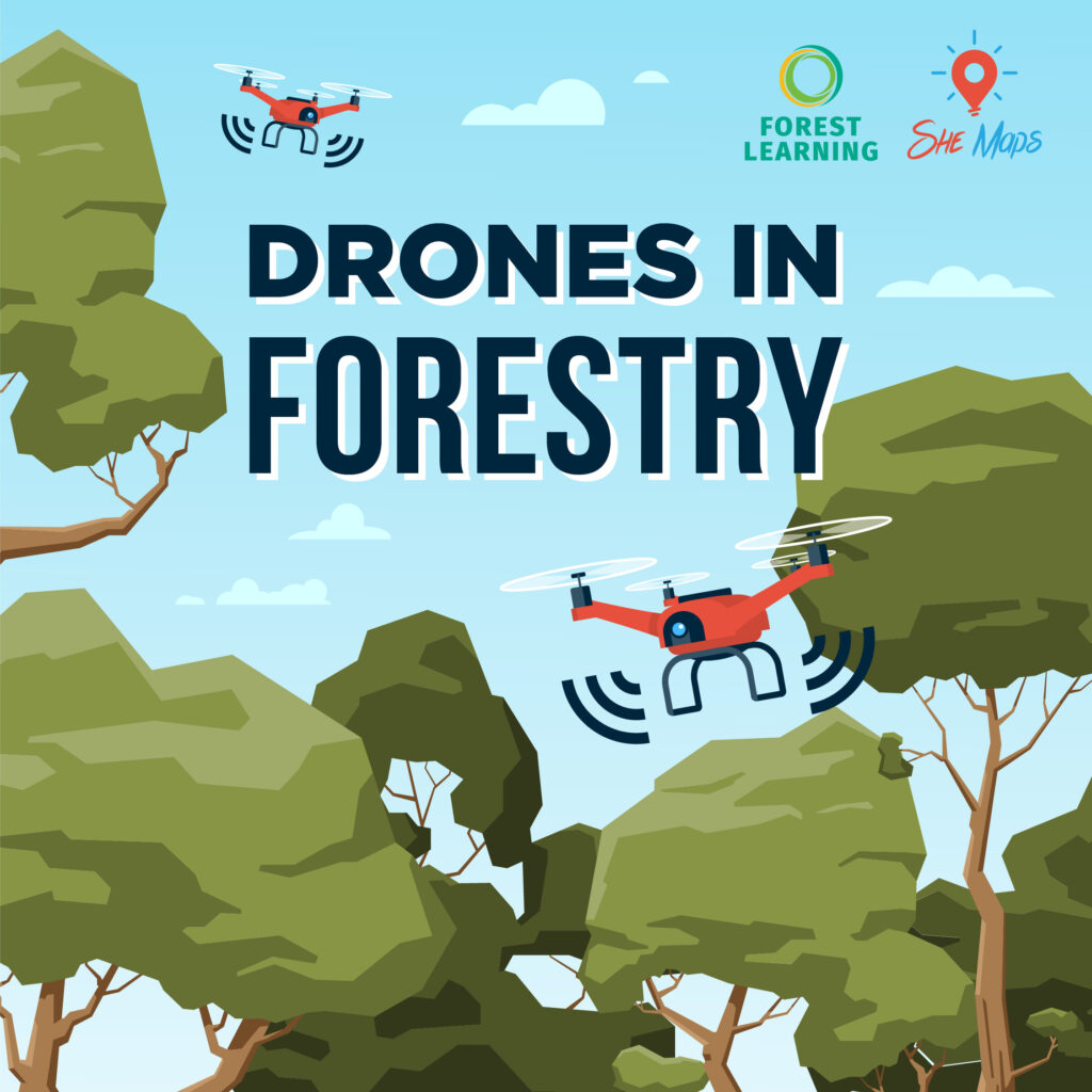 drones in forestry social media instagram 3