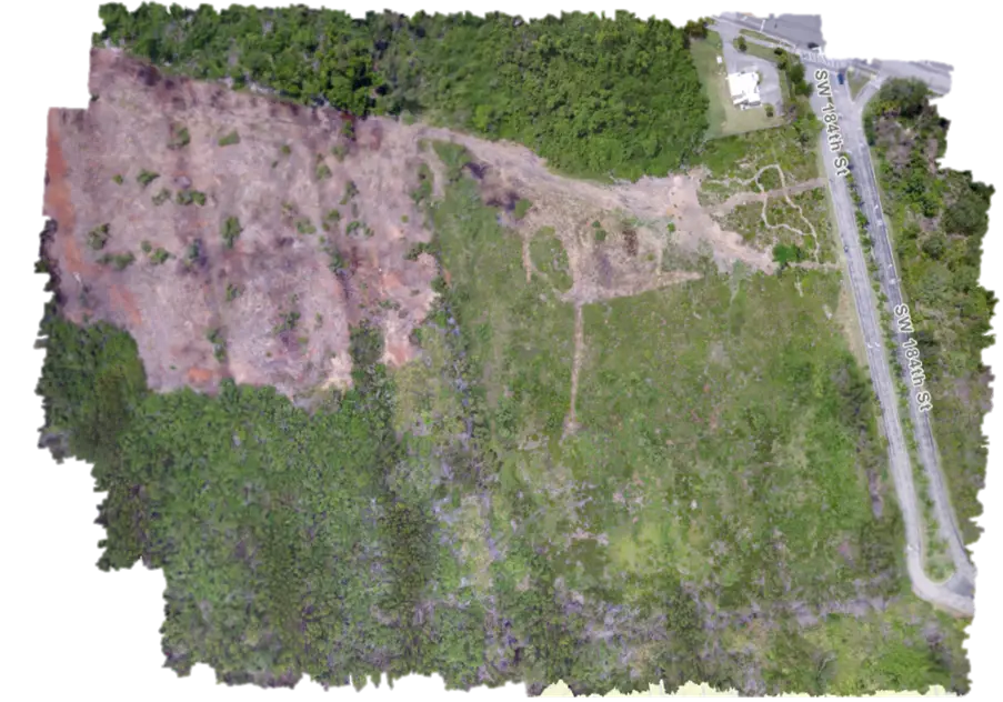 florida restored wetland