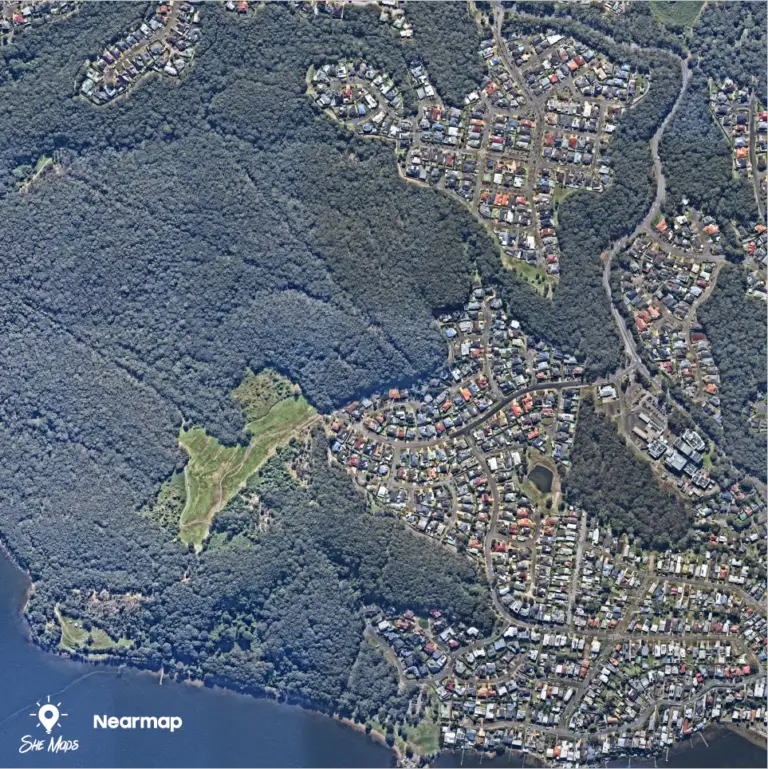 Aerial view of residential area and forest