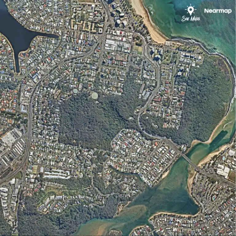 Aerial view of coastal suburb with greenery