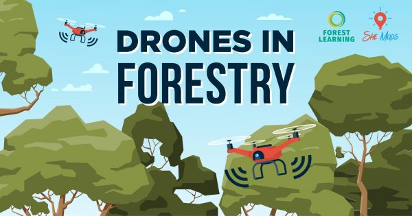 drones in forestry social media facebook twitter linkedin 3
