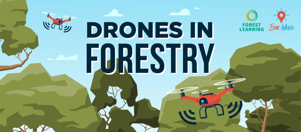 free teaching resources drones in forestry banner