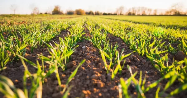 Teaching Agriculture with drones farm