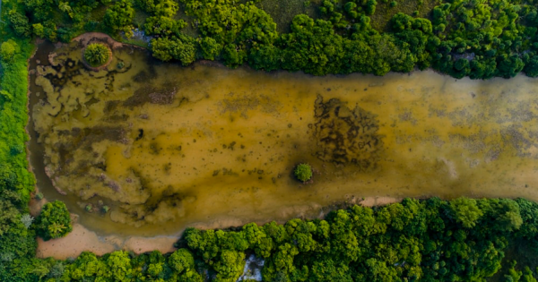 Drones for River Restoration aerial photo