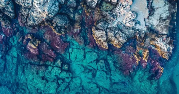 rocky seascape