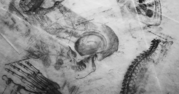 a black and white image of a skull and some bones