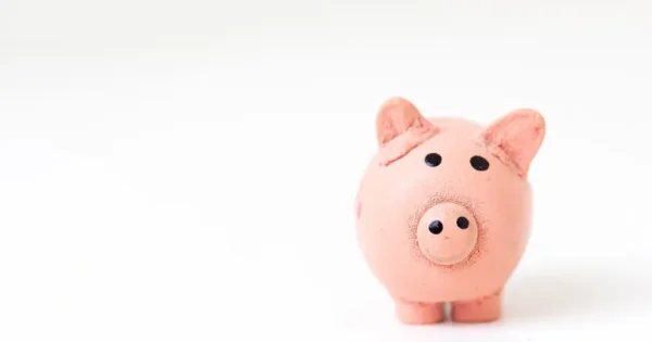 a flesh-coloured pig ceramic against a white background