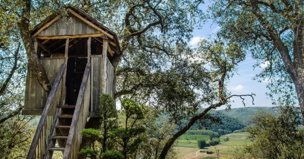 Treehouse with magnificent landscape view